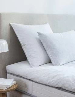 Oreiller Plumes En Lot De 2