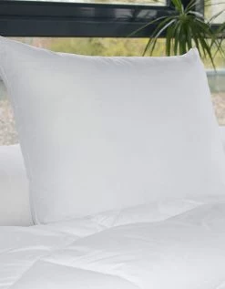 Oreiller Anti-transpiration En Microfibre Passerelle® - Moelleux