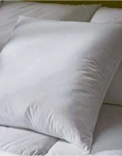Oreiller Duvet Et Plumettes Enveloppe Coton Antitaches - 800g