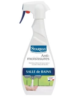 Anti-moisissures Spécial Joints