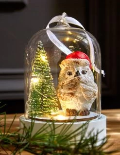 Globe De Noël Lumineux.