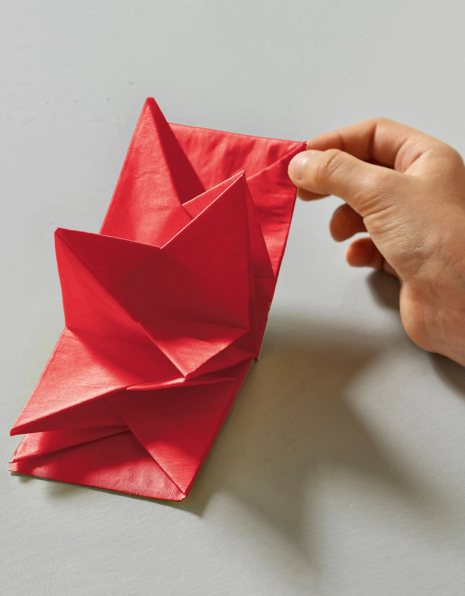 Lot De 12 Serviettes Prépliées – Image 2