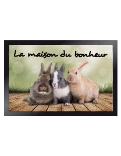 Tapis Anti-poussière Motif Lapins