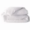 Couette Naturelle Duvet Premier Prix 300g/m2
