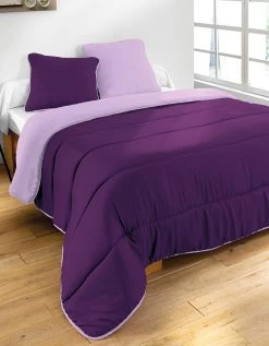 Couette Bicolore Microfibre 350g/m2